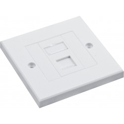 Cat6a FTP RJ45 Loaded Faceplates