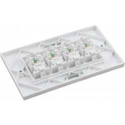 Cat6a FTP RJ45 Loaded Faceplates