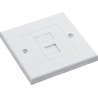 Cat6 UTP RJ45 Modules with Faceplate