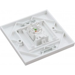 Cat5e UTP RJ45 Loaded Faceplates